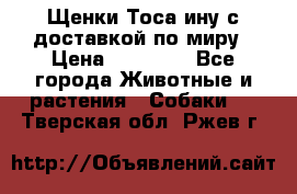 Щенки Тоса-ину с доставкой по миру › Цена ­ 68 000 - Все города Животные и растения » Собаки   . Тверская обл.,Ржев г.